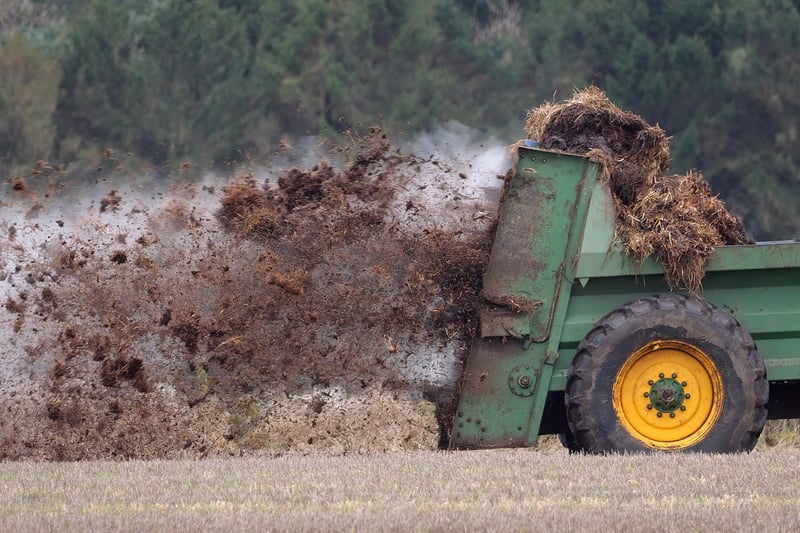 Organic Fertilizer